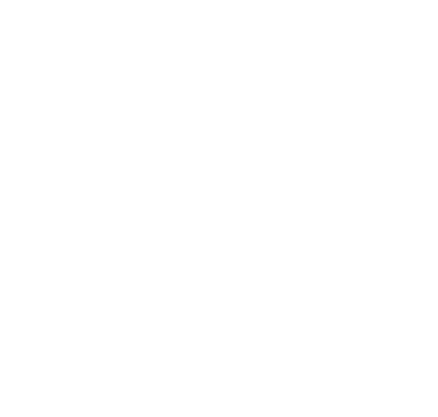 American University in Dubai Logo